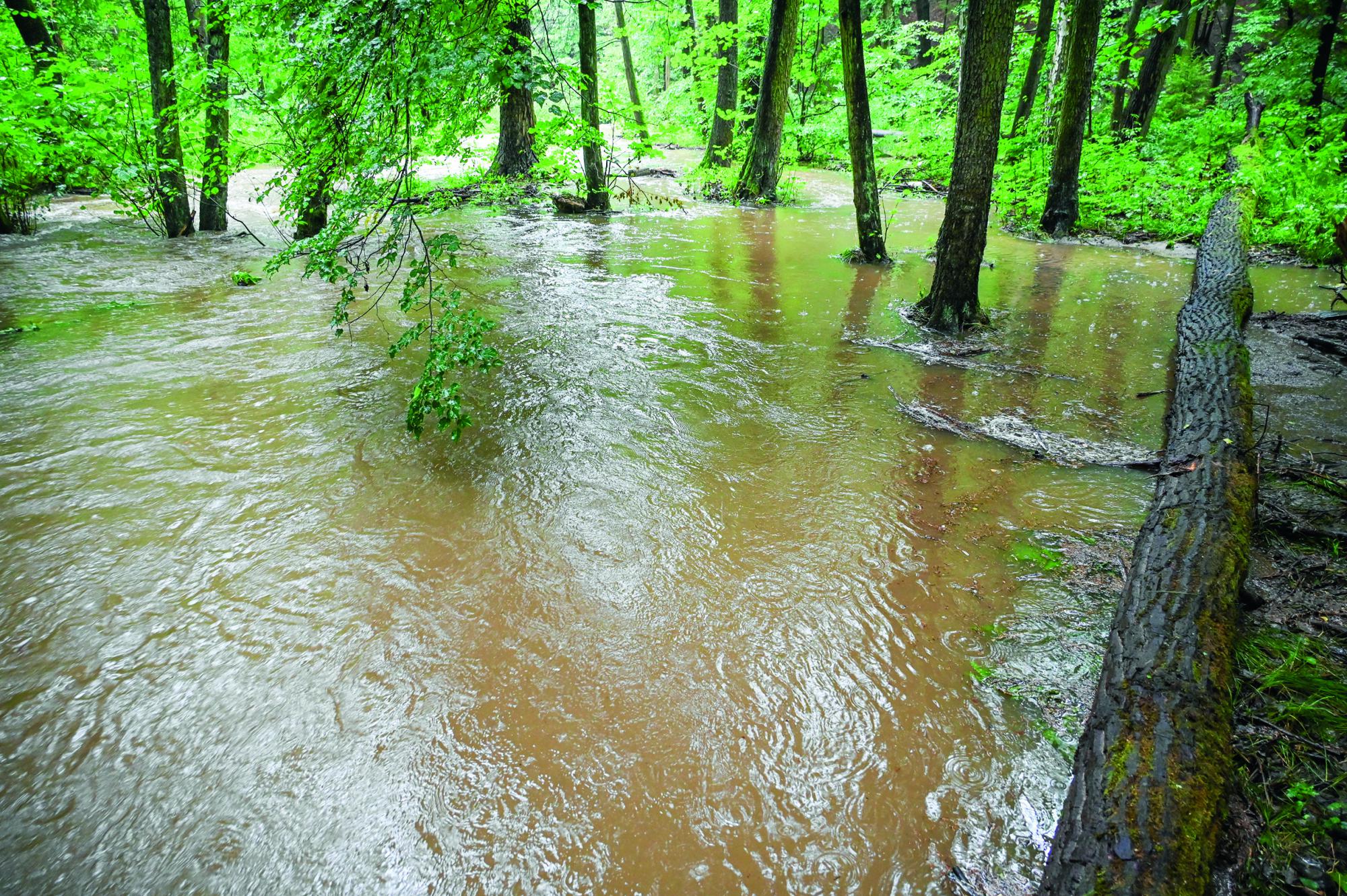 Rokytka za povodně 14. 9. 2024